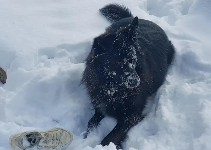 Mókuslak Mátra Apartman Mátraszentimre