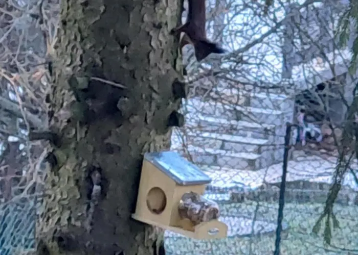 Mókuslak Mátra * Mátraszentimre